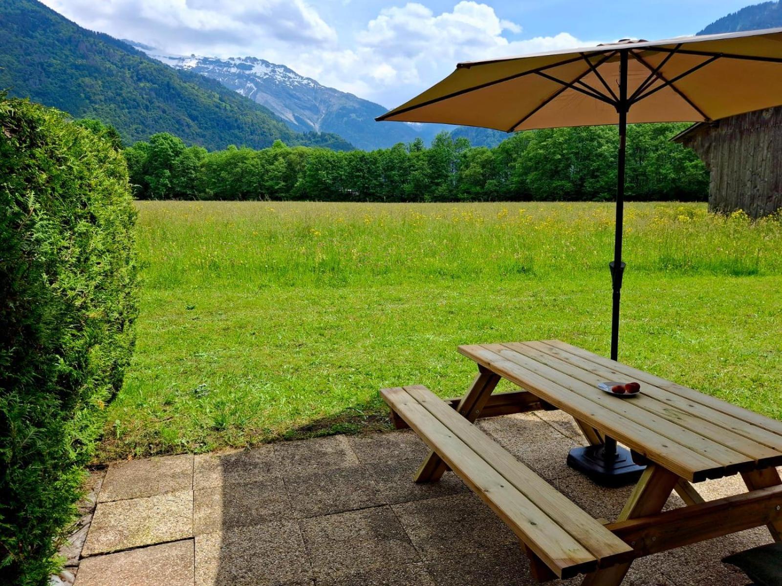 Appartement Renove T2, Vue Montagne Samoëns Exterior foto